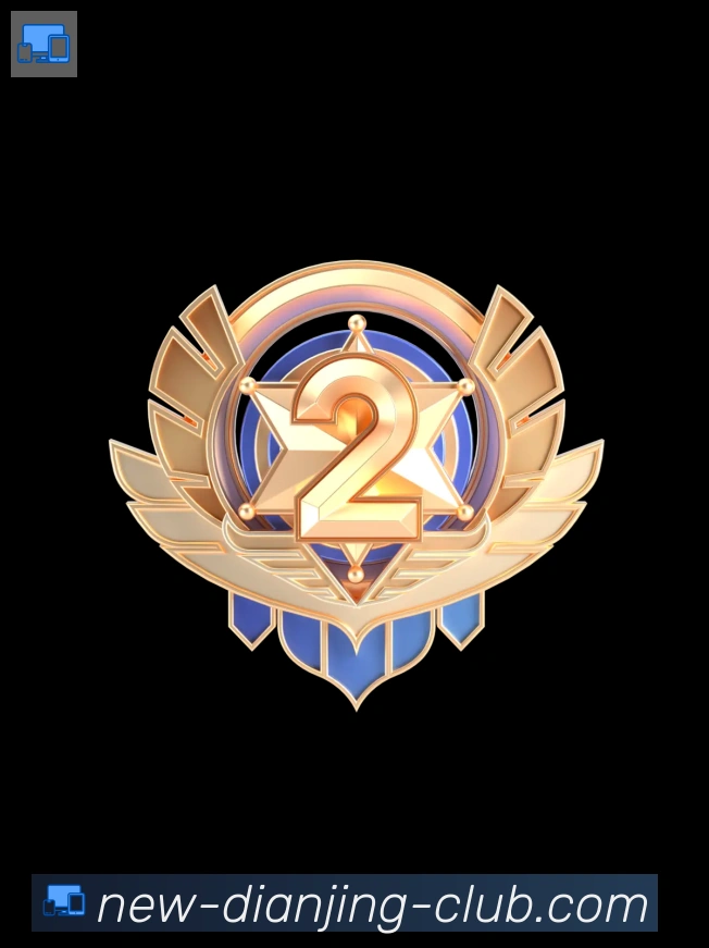 奖项4