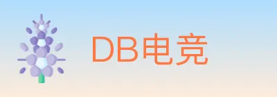 DB电竞 logo